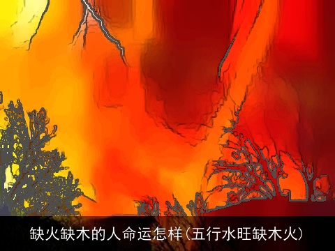 缺火缺木的人命运怎样(五行水旺缺木火)