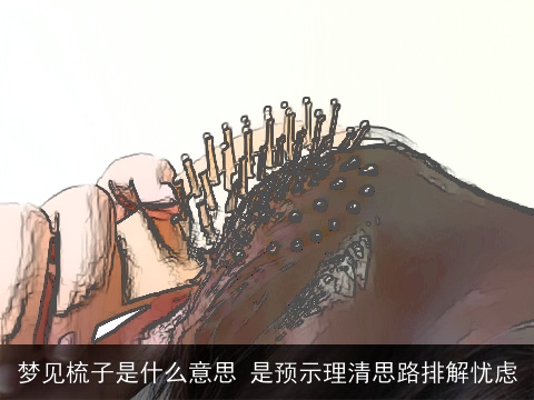 梦见梳子是什么意思 是预示理清思路排解忧虑