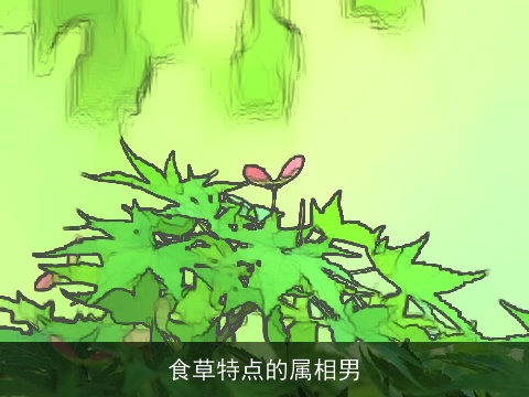 食草特点的属相男