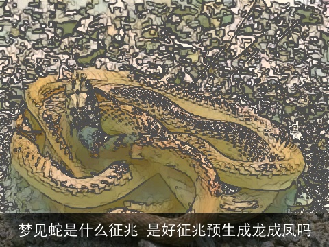 梦见蛇是什么征兆 是好征兆预生成龙成凤吗