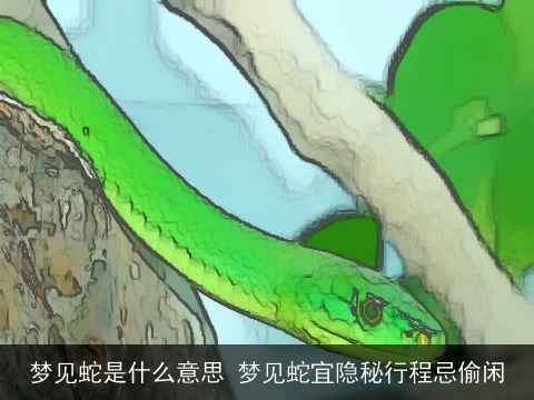梦见蛇是什么意思 梦见蛇宜隐秘行程忌偷闲