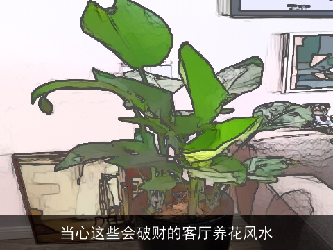当心这些会破财的客厅养花风水