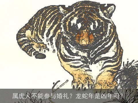 属虎人不能参与婚礼？龙蛇年是凶年吗？
