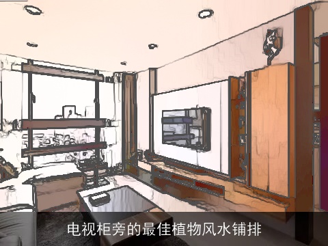 电视柜旁的最佳植物风水铺排