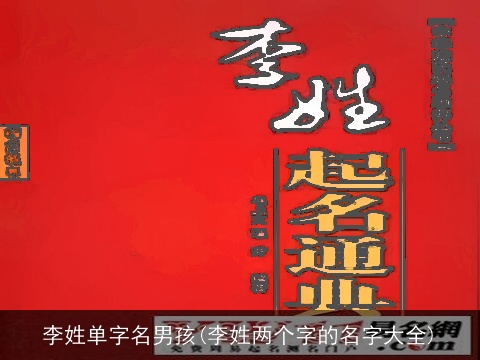 李姓单字名男孩(李姓两个字的名字大全)