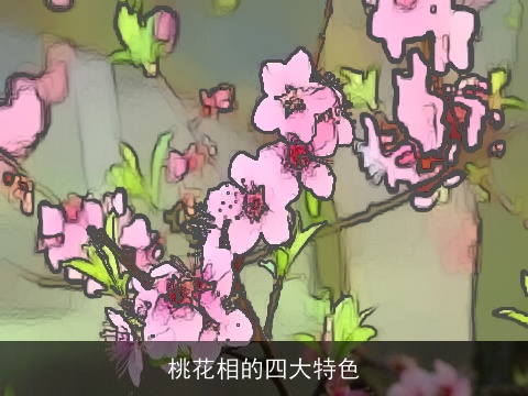 桃花相的四大特色