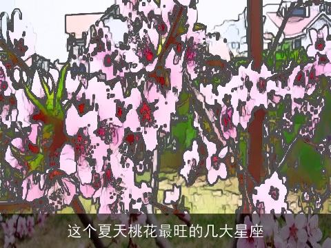 这个夏天桃花最旺的几大星座