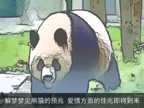解梦梦见熊猫的预兆 爱情方面的佳兆即将到来