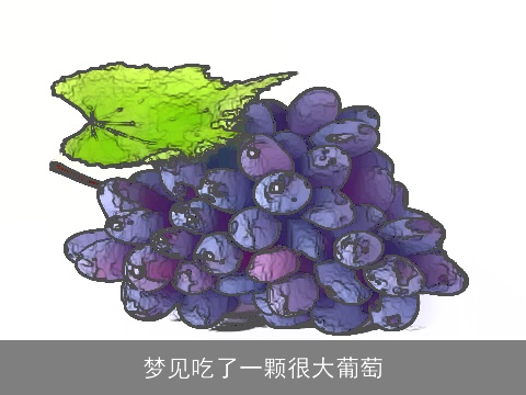 梦见吃了一颗很大葡萄