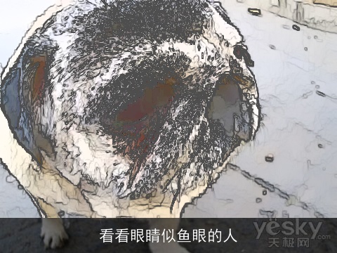 看看眼睛似鱼眼的人
