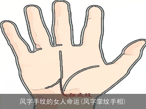 风字手纹的女人命运(风字掌纹手相)