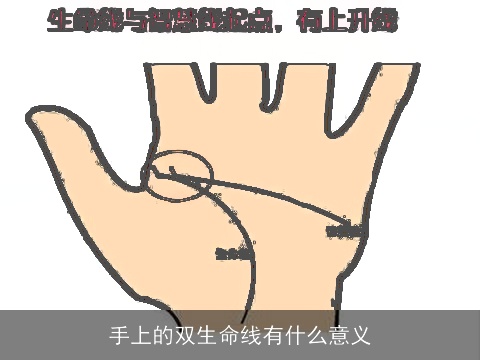 手上的双生命线有什么意义
