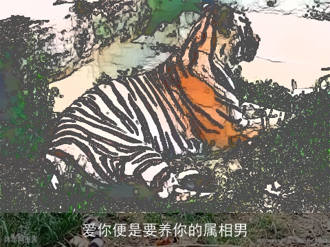 爱你便是要养你的属相男