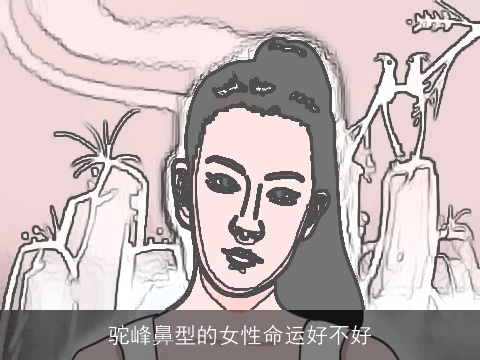 驼峰鼻型的女性命运好不好