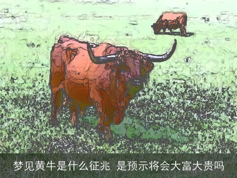 梦见黄牛是什么征兆 是预示将会大富大贵吗