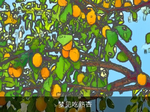 梦见吃熟杏