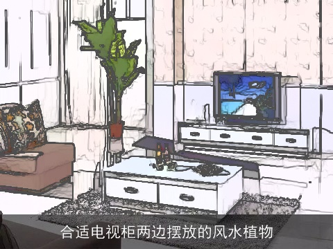 合适电视柜两边摆放的风水植物