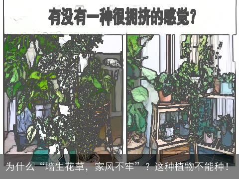 为什么“墙生花草，家风不牢”？这种植物不能种！