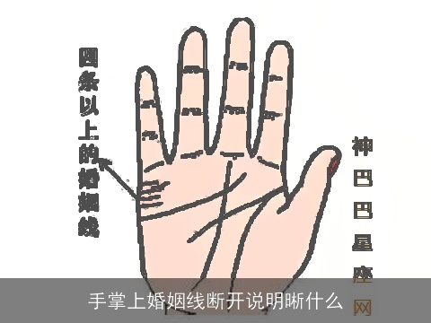 手掌上婚姻线断开说明晰什么