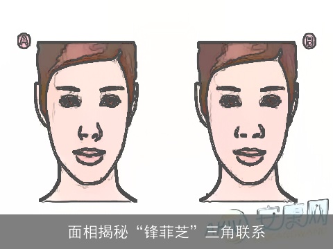 面相揭秘“锋菲芝”三角联系