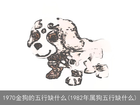1970金狗的五行缺什么(1982年属狗五行缺什么)
