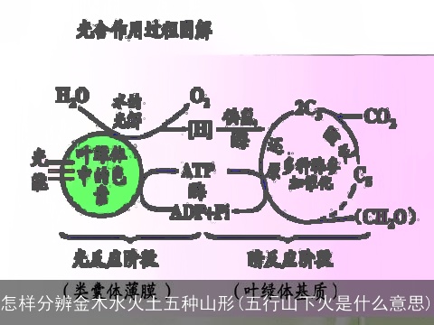 怎样分辨金木水火土五种山形(五行山下火是什么意思)