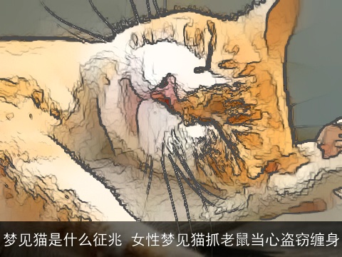 梦见猫是什么征兆 女性梦见猫抓老鼠当心盗窃缠身