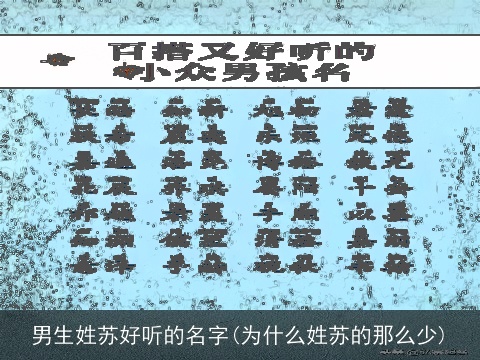 男生姓苏好听的名字(为什么姓苏的那么少)