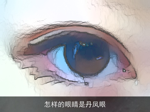 怎样的眼睛是丹凤眼