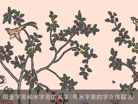 带金字旁和水字旁的名字(带水字旁的字女孩取名)