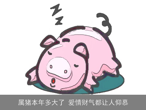 属猪本年多大了 爱情财气都让人仰慕