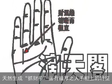 天然生成“抓财手”富有福厚之人手相上的特征