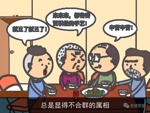 总是显得不合群的属相