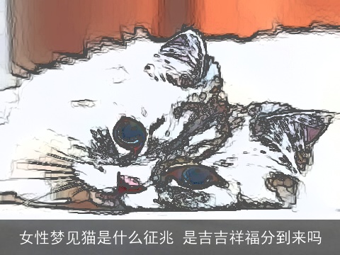 女性梦见猫是什么征兆 是吉吉祥福分到来吗