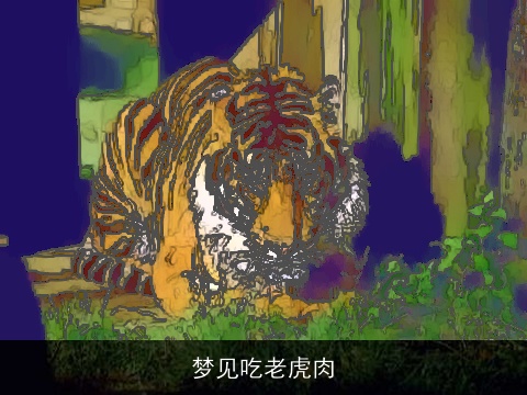 梦见吃老虎肉
