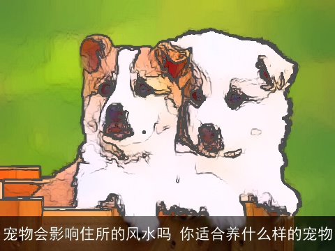 宠物会影响住所的风水吗 你适合养什么样的宠物