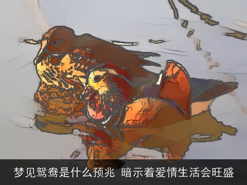 梦见鸳鸯是什么预兆 暗示着爱情生活会旺盛