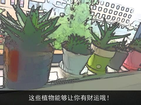 这些植物能够让你有财运哦！