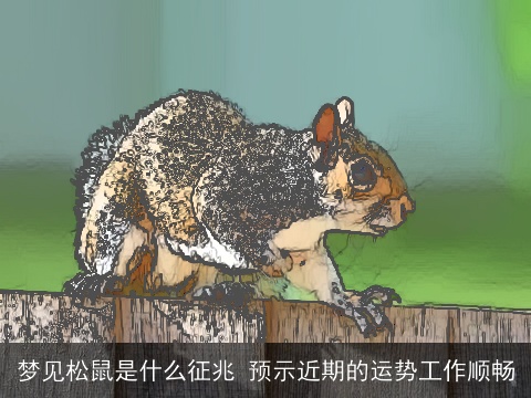 梦见松鼠是什么征兆 预示近期的运势工作顺畅