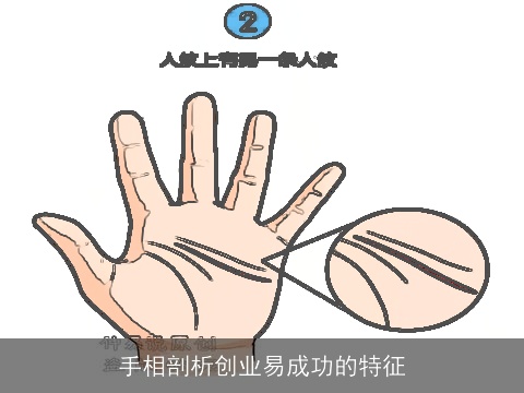 手相剖析创业易成功的特征