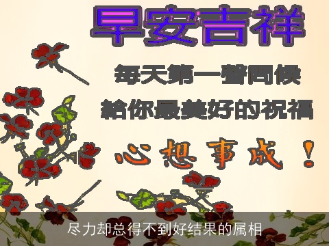 尽力却总得不到好结果的属相