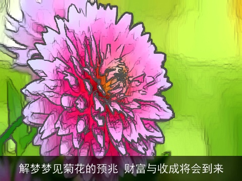解梦梦见菊花的预兆 财富与收成将会到来