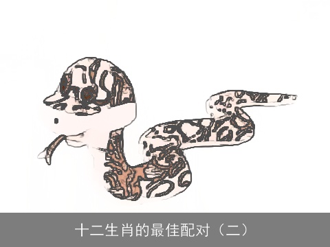 十二生肖的最佳配对（二）