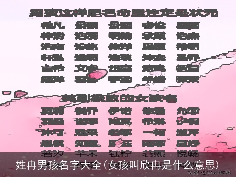 姓冉男孩名字大全(女孩叫欣冉是什么意思)