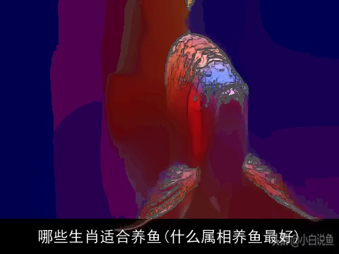 哪些生肖适合养鱼(什么属相养鱼最好)