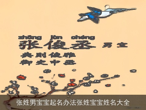 张姓男宝宝起名办法张姓宝宝姓名大全