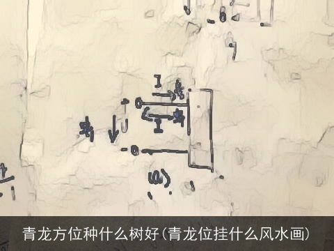 青龙方位种什么树好(青龙位挂什么风水画)