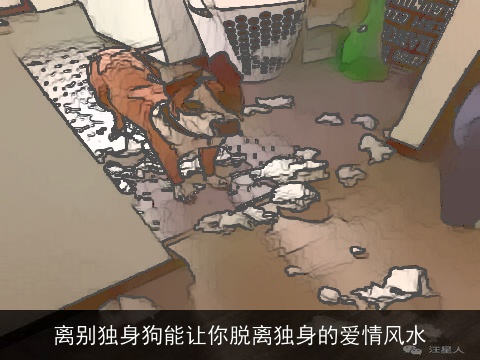 离别独身狗能让你脱离独身的爱情风水