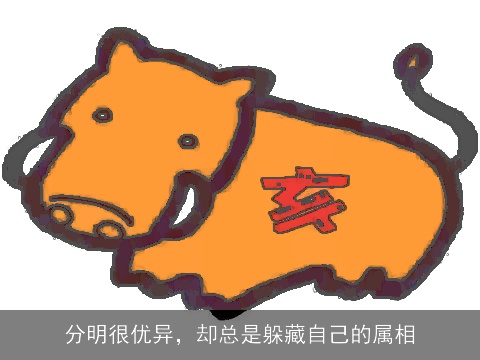 分明很优异，却总是躲藏自己的属相