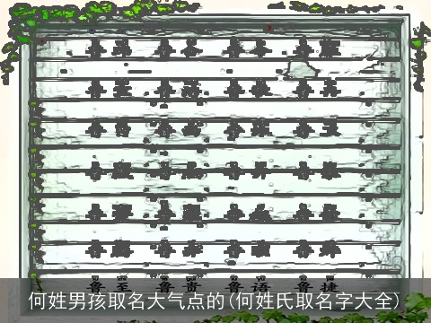 何姓男孩取名大气点的(何姓氏取名字大全)